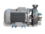 насос сточно-массный СМ 25-30 К5 (www.pumps-seals.ru)